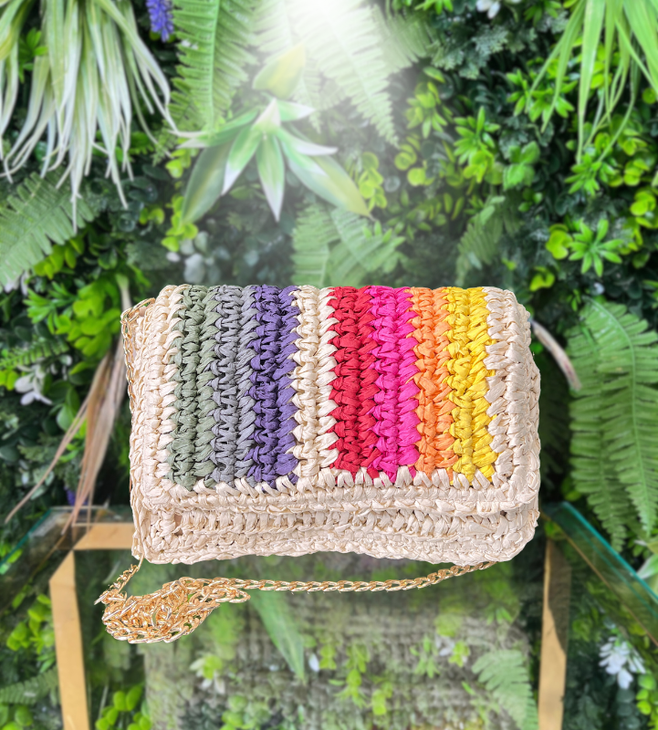 Multi Color Beige Bag