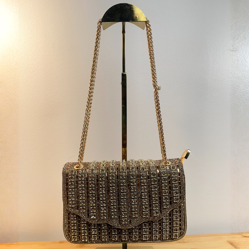 Gold Chain Bronze Purse