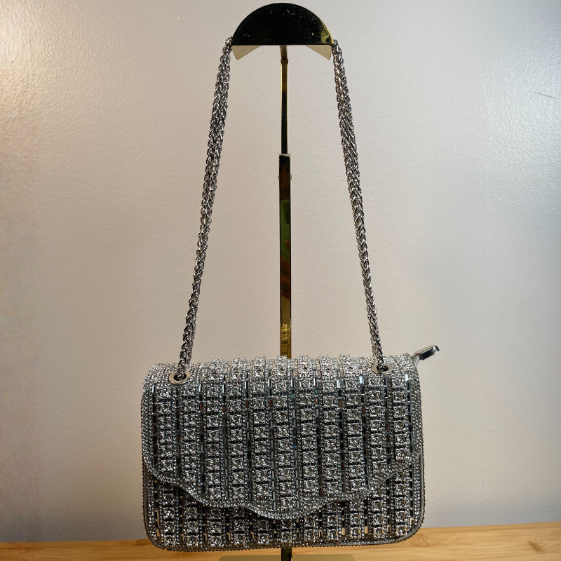 Gold Chain Silver Purse