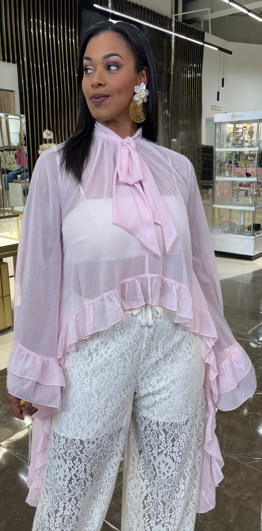 Sheer Long Sleeve Blouse