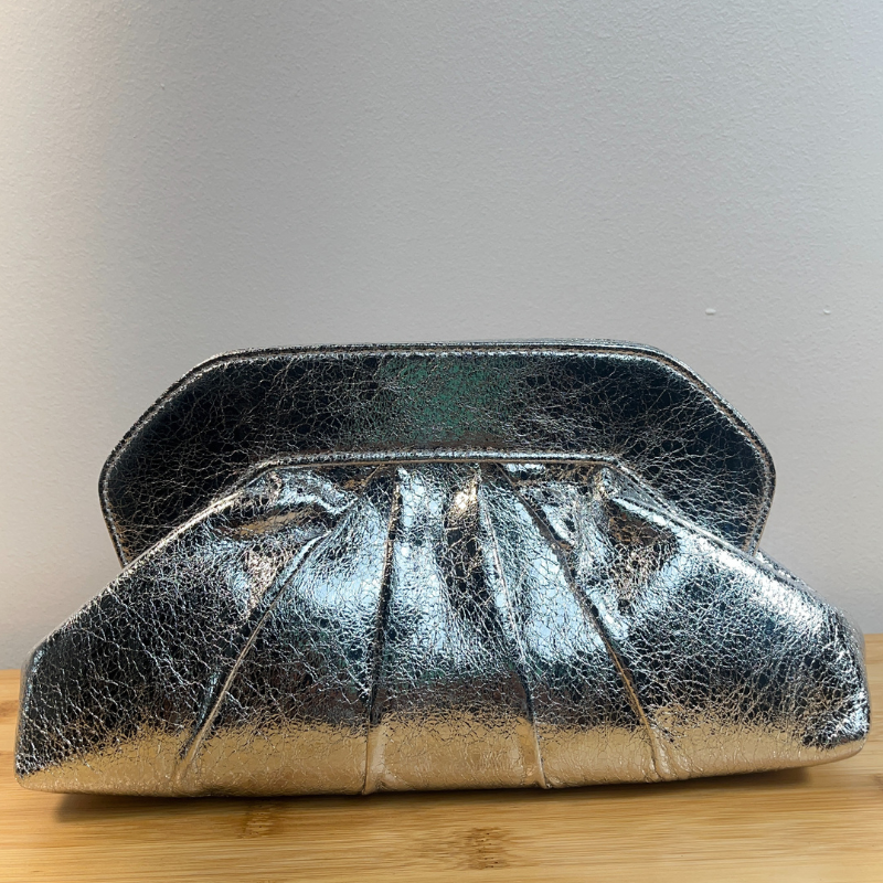 Silver Purse